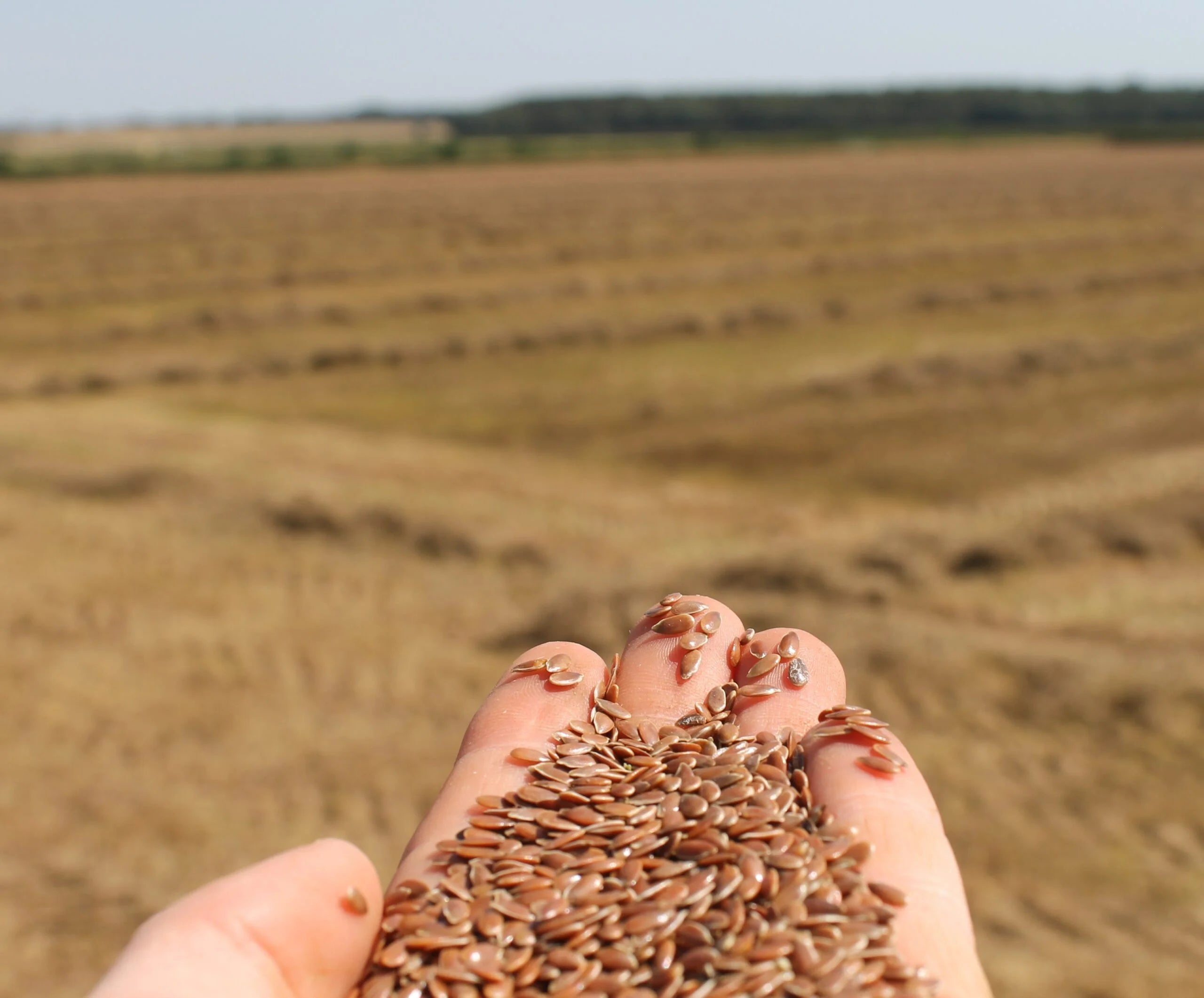 PureFlax Working Dog Supplement - 500ml