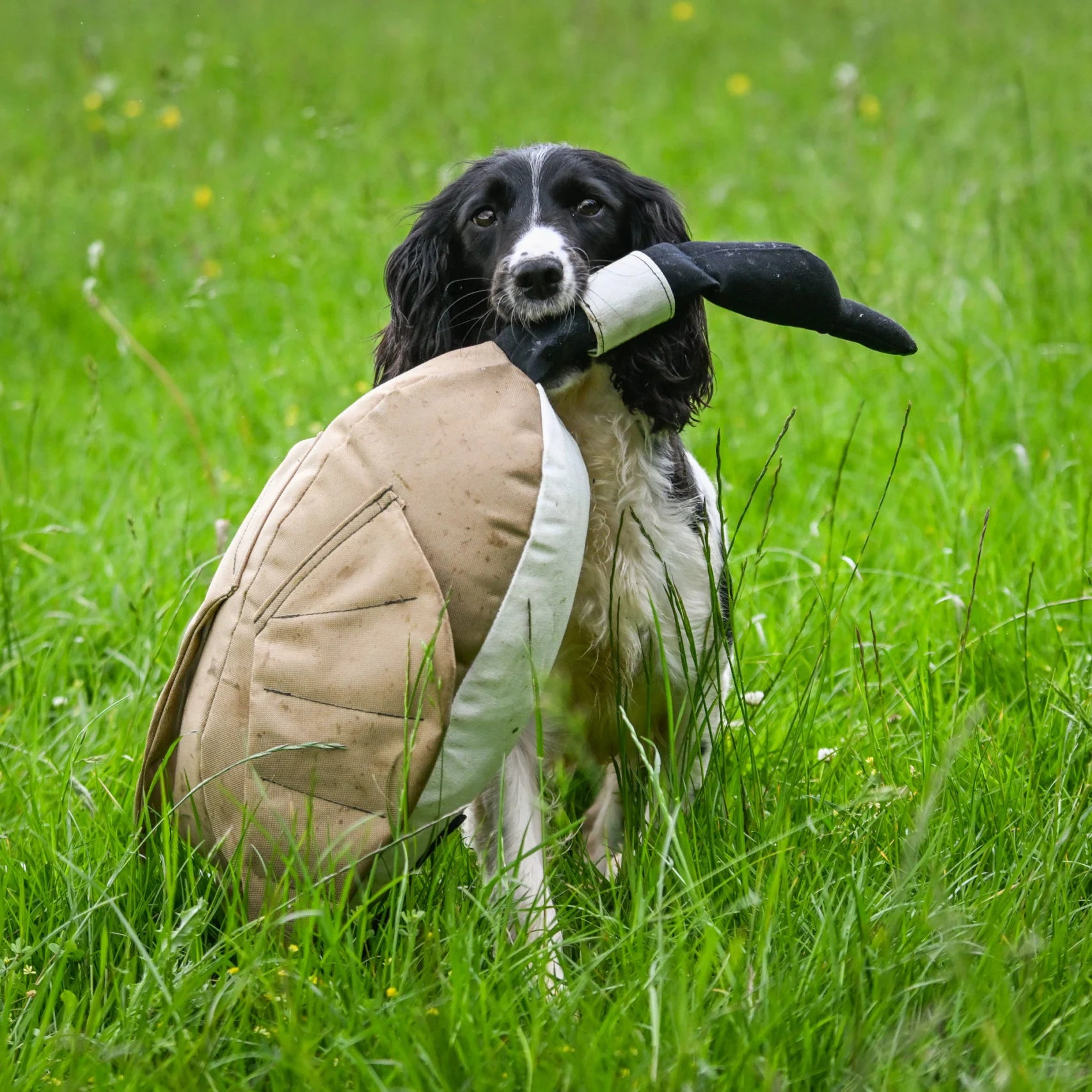 Dead Bird Dummy - Goose