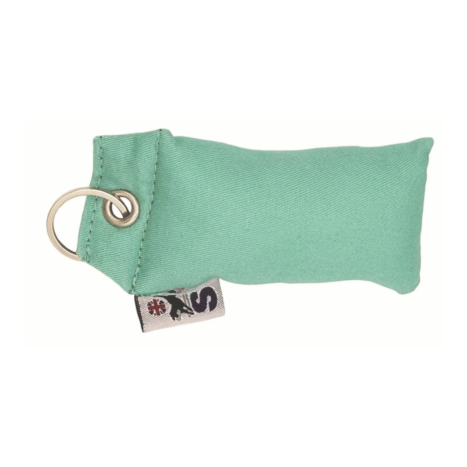 Key Ring Dummy Mint