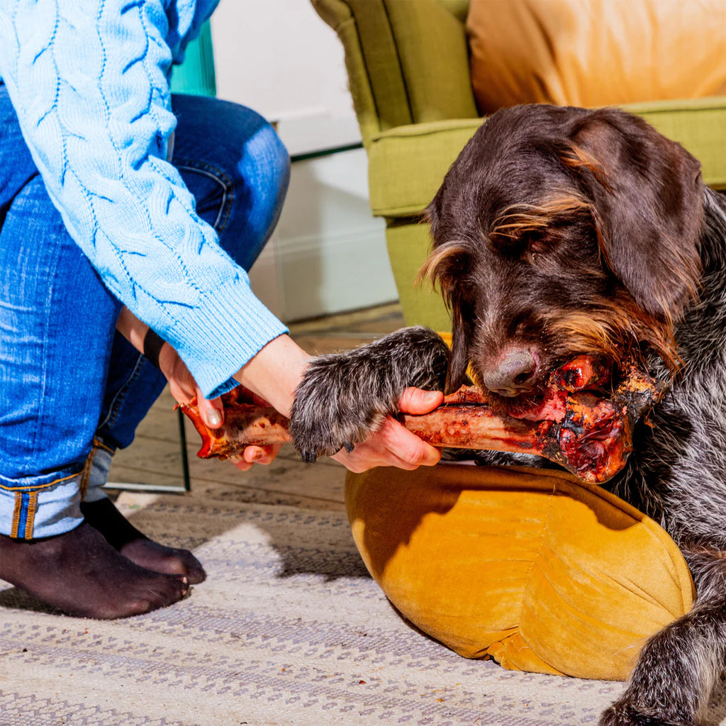 Long Ostrich Bones 1pc