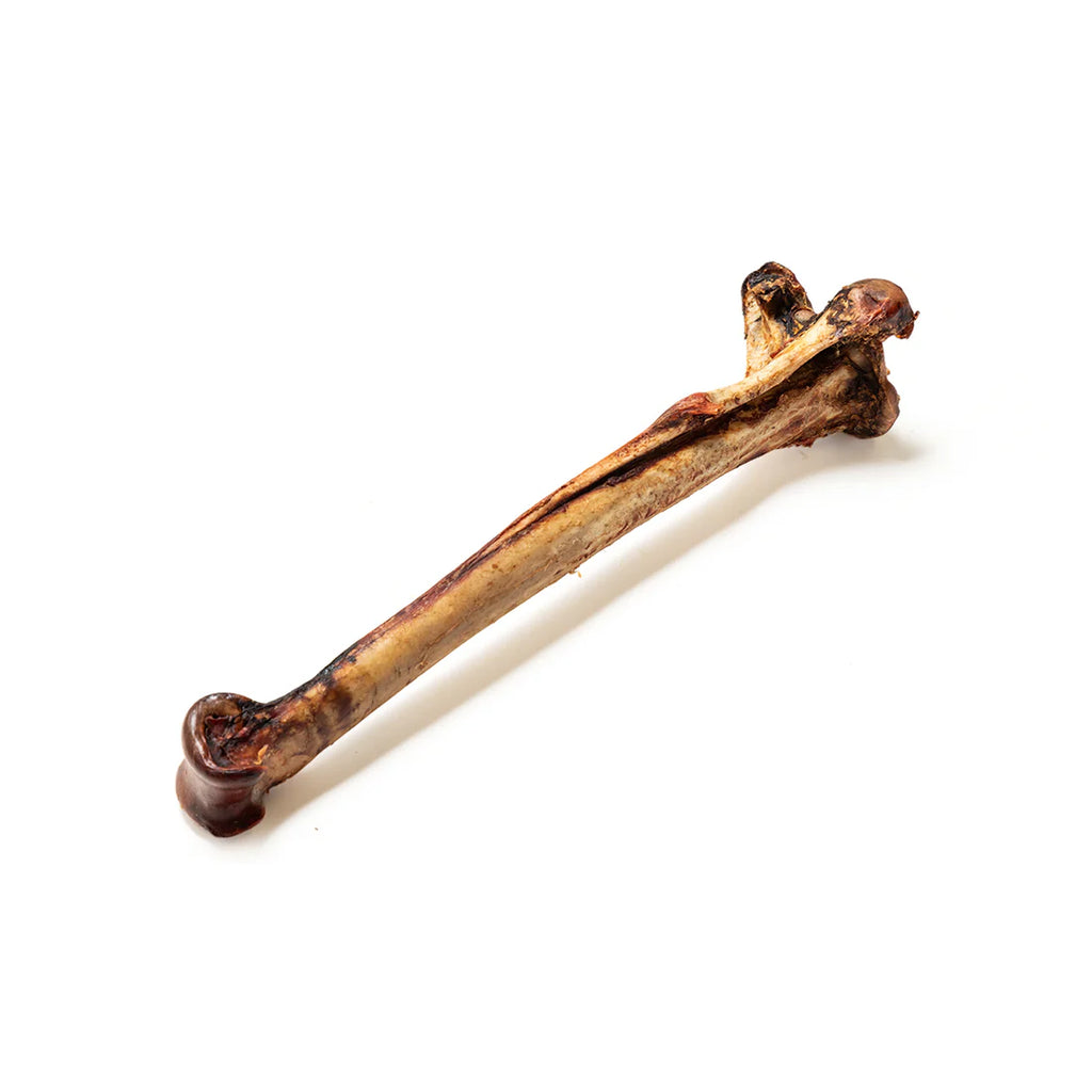 Long Ostrich Bones 1pc