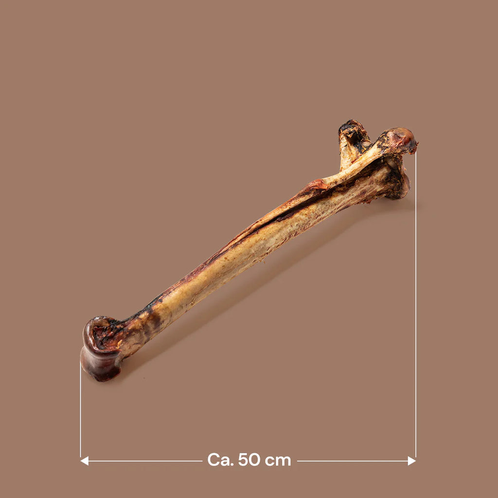 Long Ostrich Bones 1pc