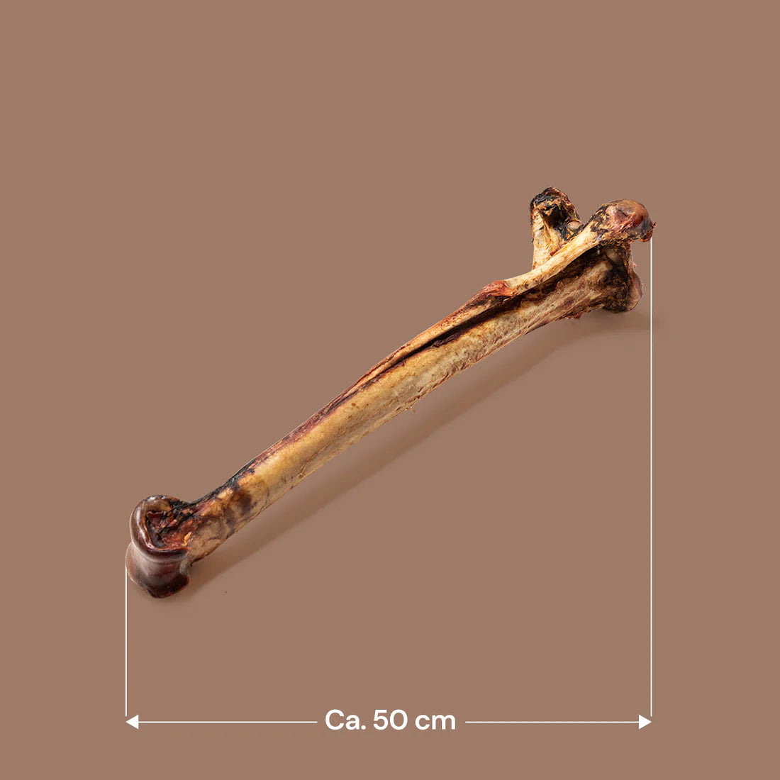 Long Ostrich Bones 1pc