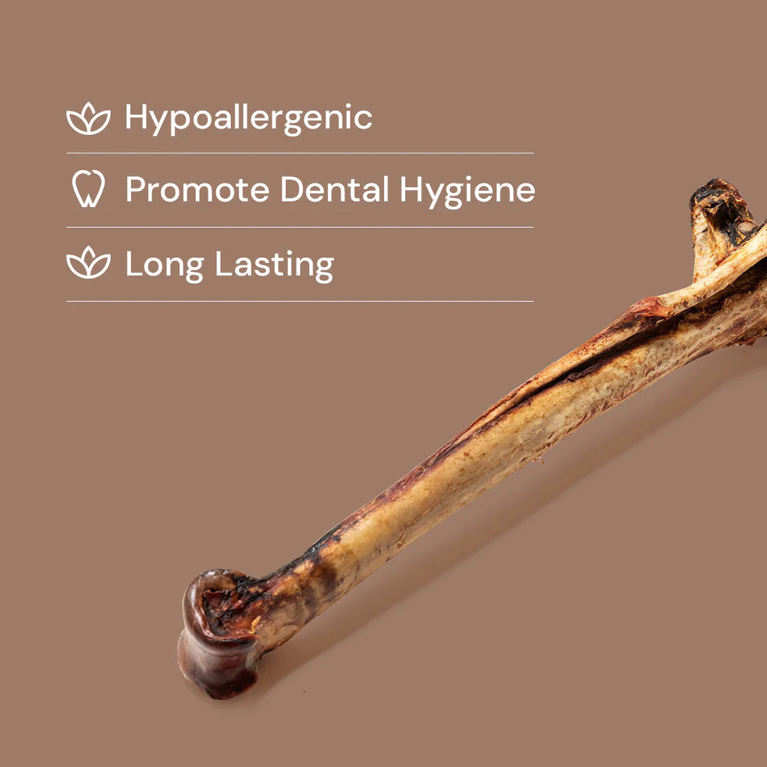 Long Ostrich Bones 1pc