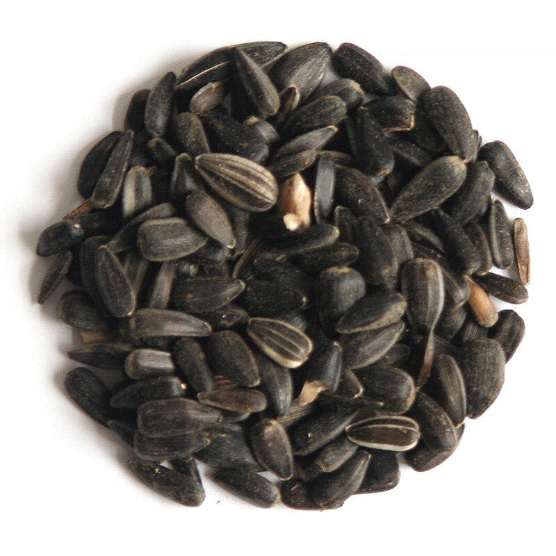 Hutton Mill Black Sunflower Seed 1kg