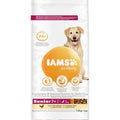Iams Dog Senior Large Chicken 12kg