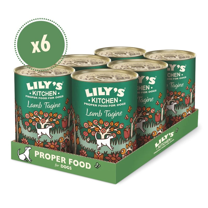 Lily's Kitchen Lamb Tagine Tins 400g