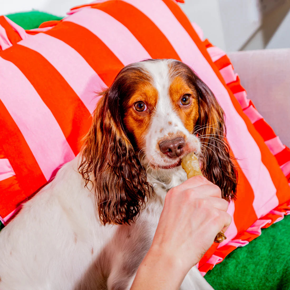 Plain Rabbit Ears 500g