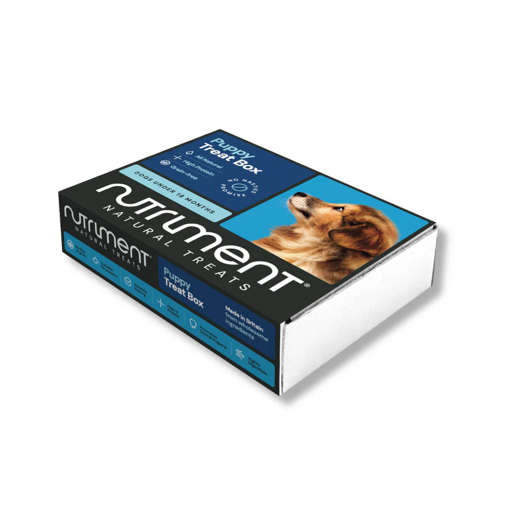 Puppy Treat Box 1pc