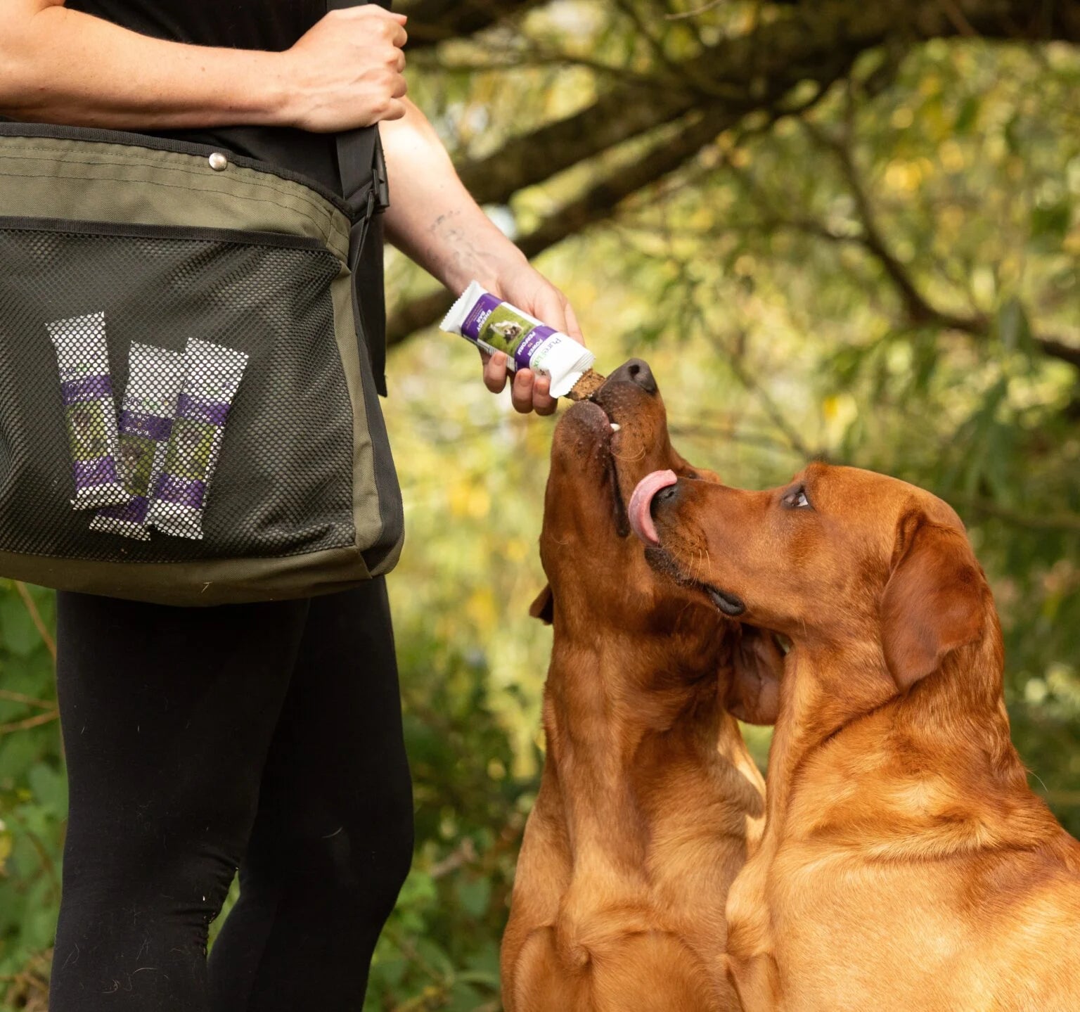 PureFlax Energy Bar - Single Pack