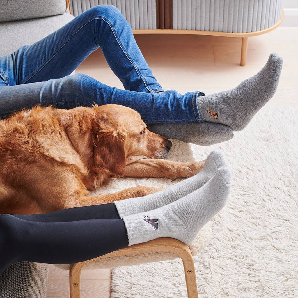 Dog Walking Socks - Springer Spaniel (Black & White)