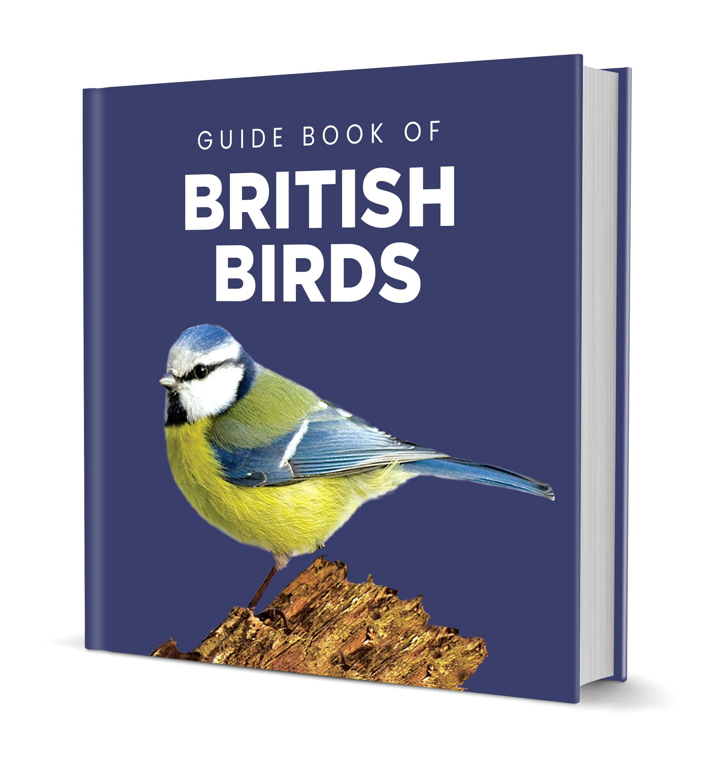 Guide Book of British Birds
