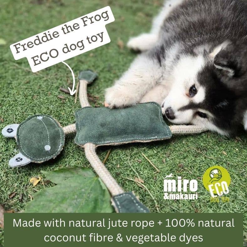 Eco Dog Toys By Miro & Makauri - Freddie the Frog: Freddie