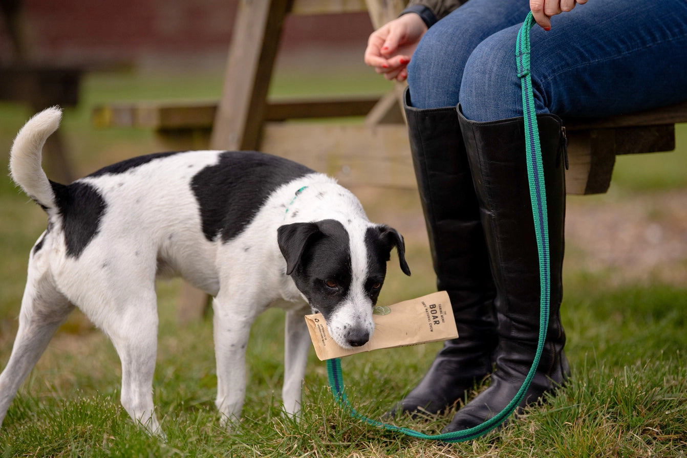 The Canine Menu Natural Dog Chew Boar