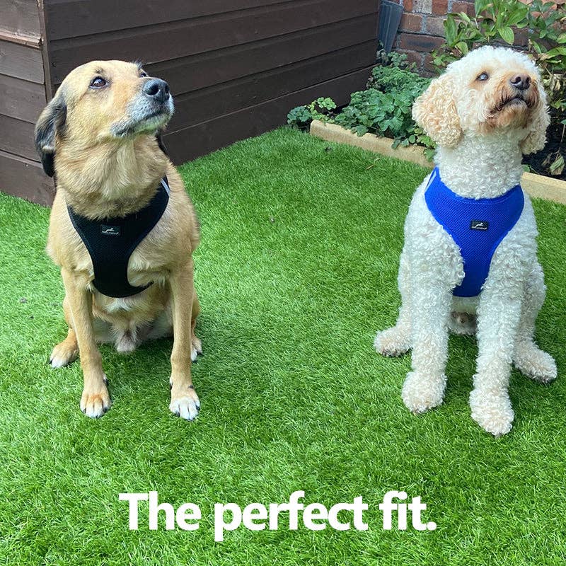 Step-in Air Mesh Dog Harness SMALL Black