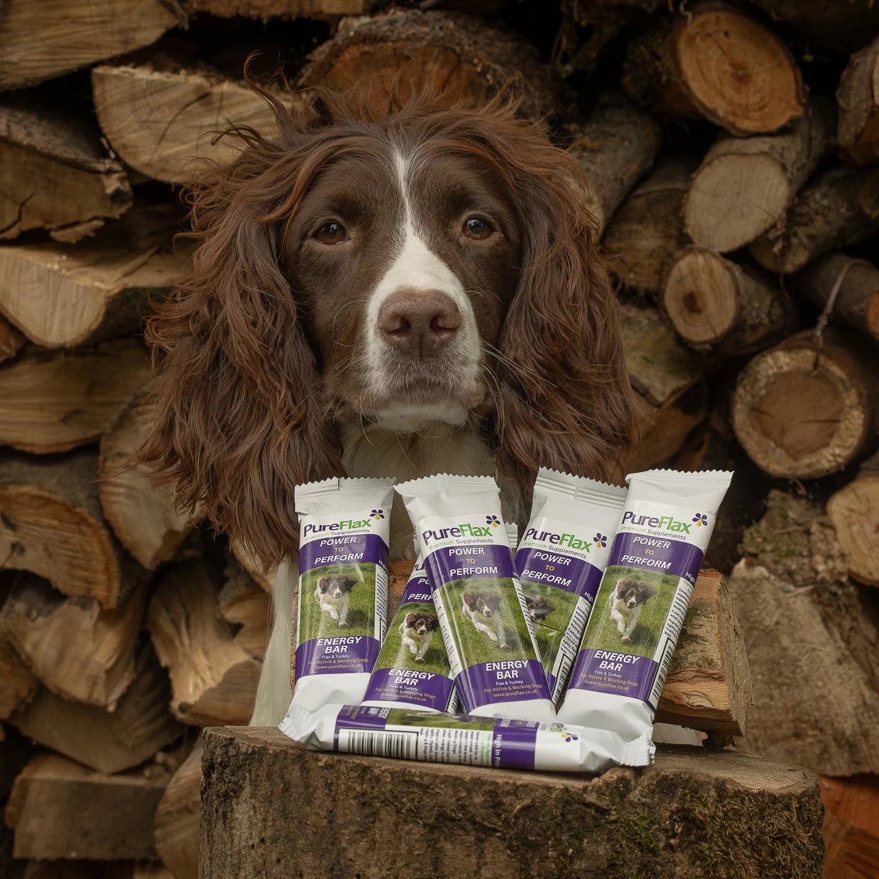 PureFlax Energy Bar - Single Pack