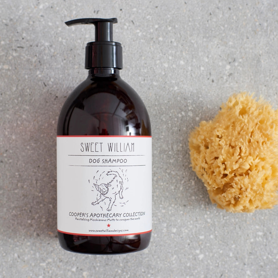 Dog Grooming - Shampoo