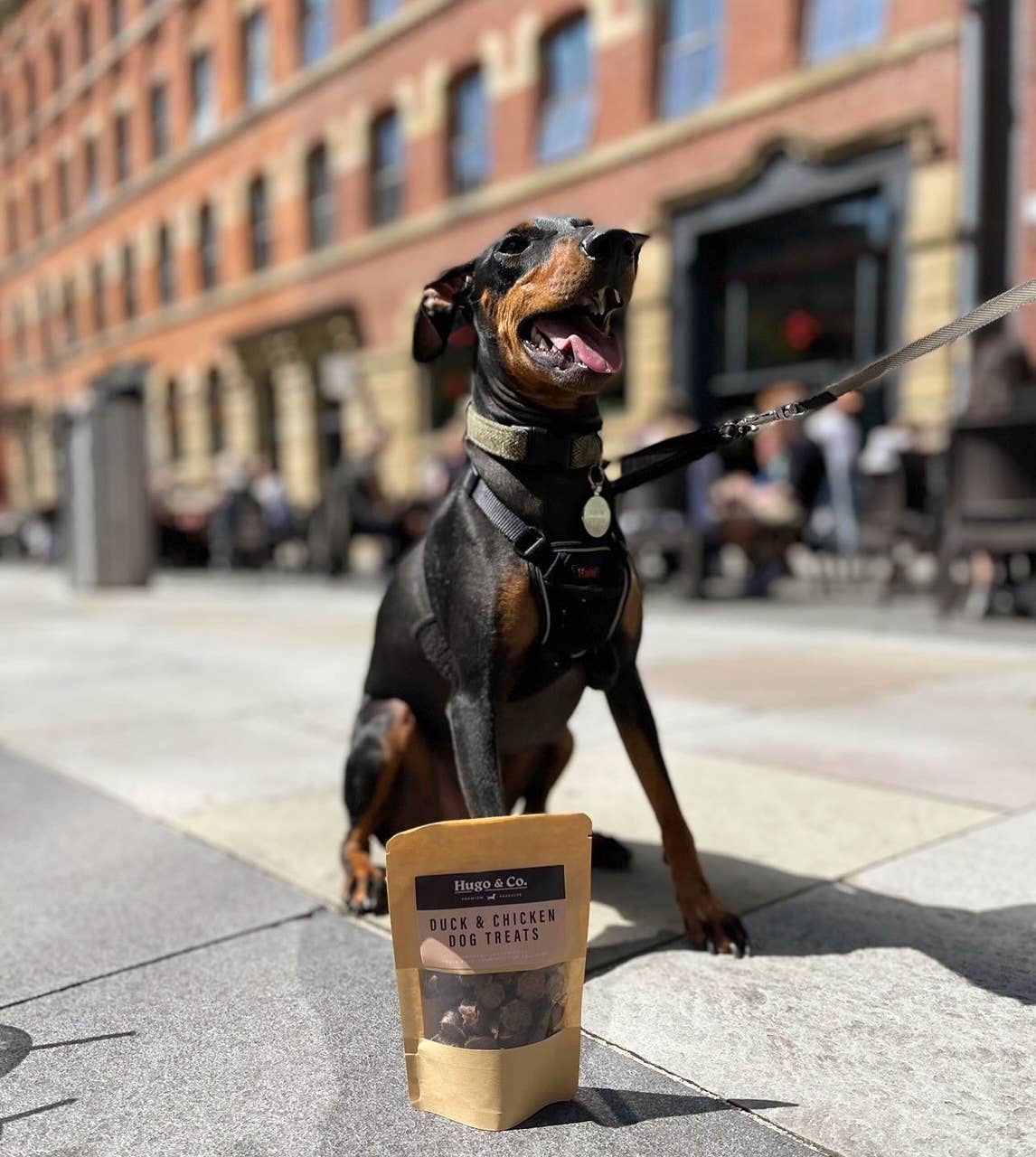 Duck & Chicken Dog Treats -75g