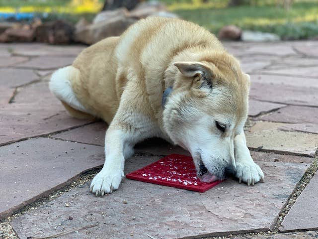 Heart Design Valentine Enrichment Lick Mat: Small