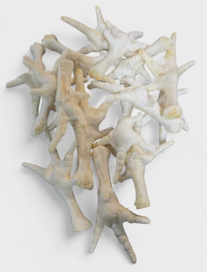 Puffed white chicken feet natural dog treat