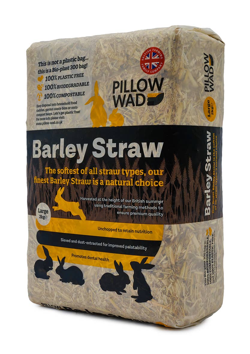 Large Bio Straw