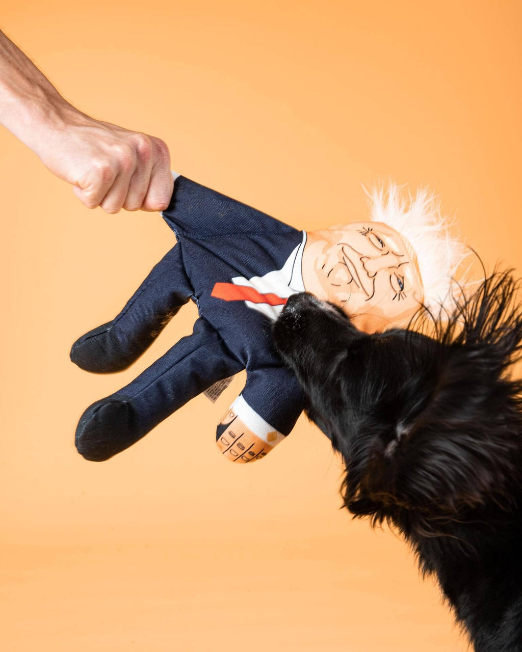 Donald Trump Dog Toy: Regular