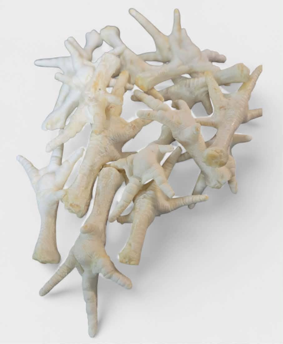 Puffed white chicken feet natural dog treat