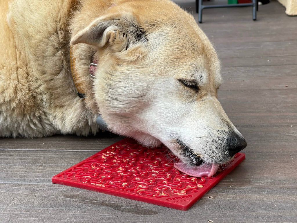 Bones Design Emat Enrichment Licking Mat: Red Bones E-mat