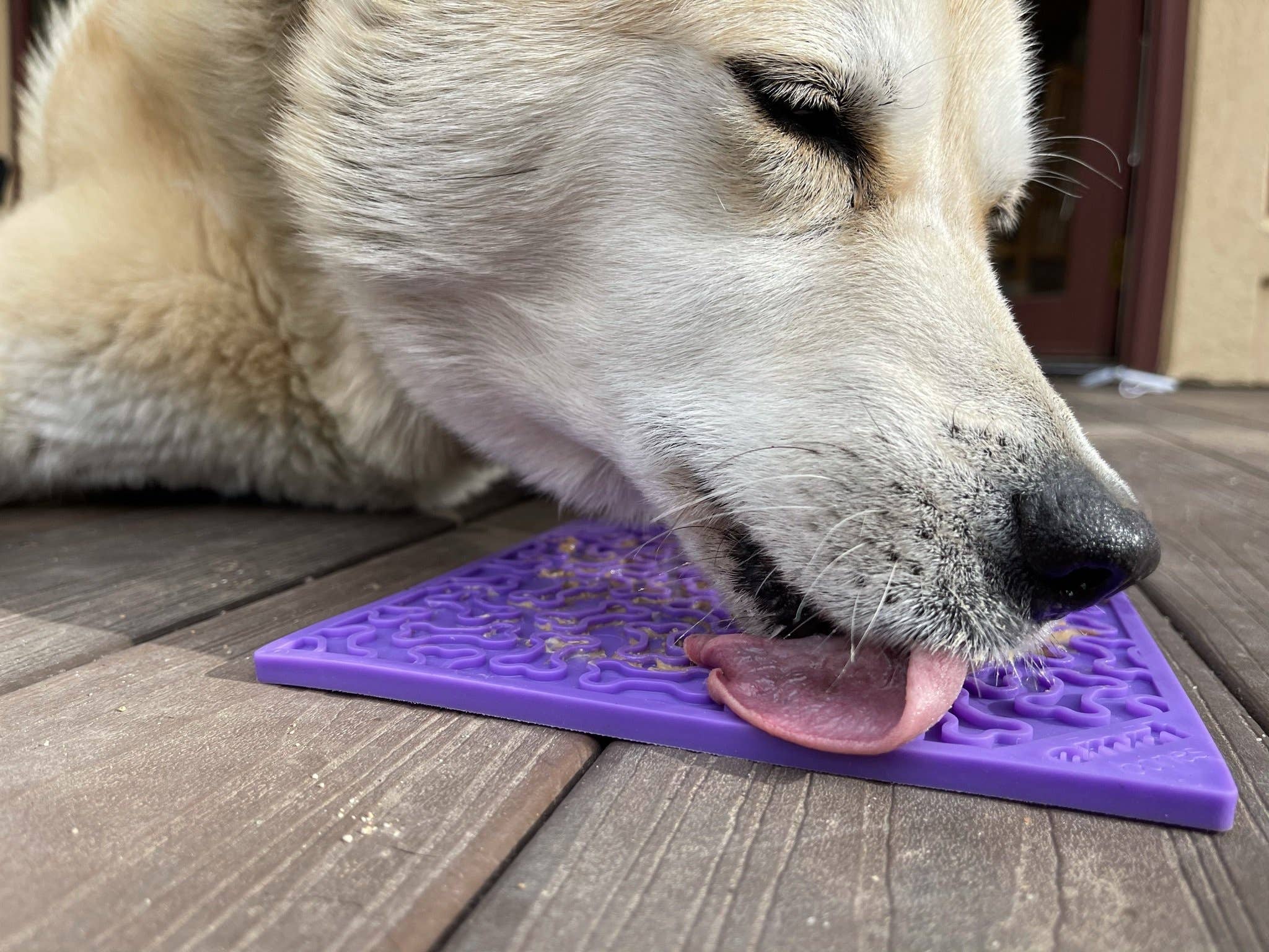 Bones Design Emat Enrichment Licking Mat: Red Bones E-mat