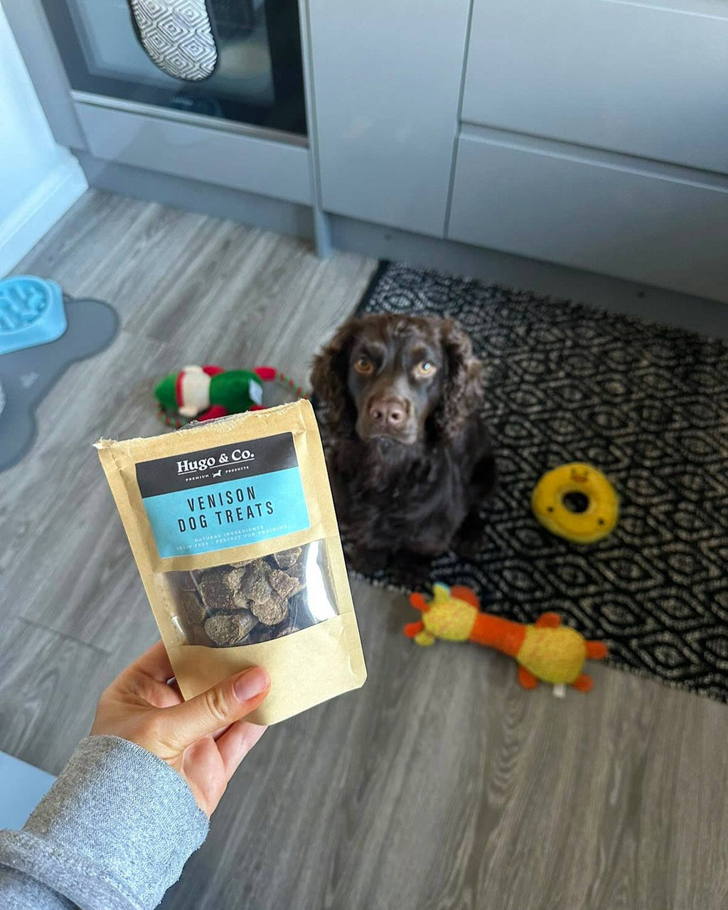Venison Dog Treats - 75g