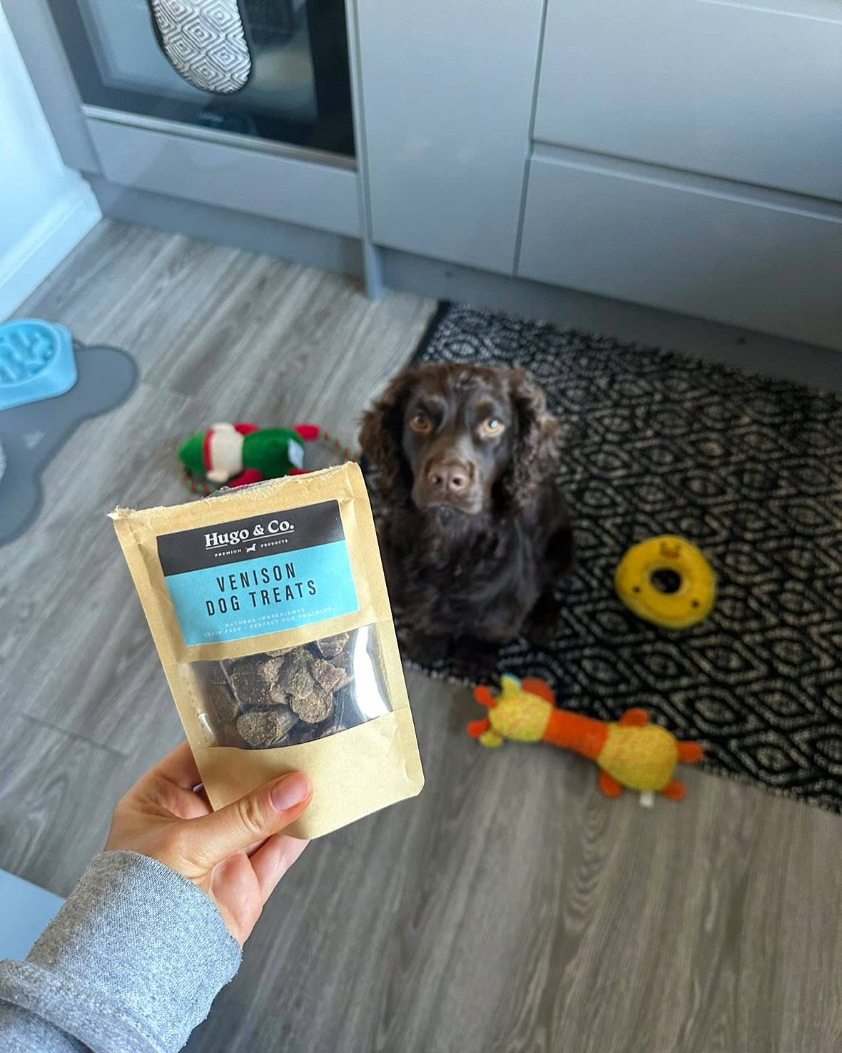 Venison Dog Treats - 75g