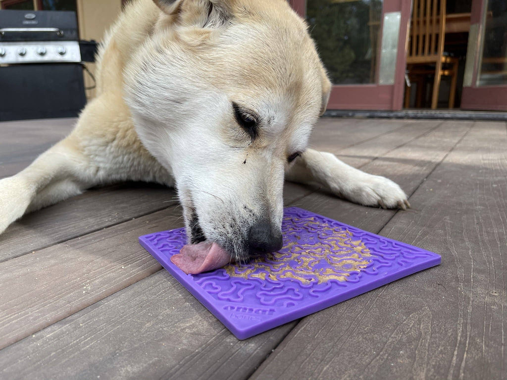 Bones Design Emat Enrichment Licking Mat: Red Bones E-mat