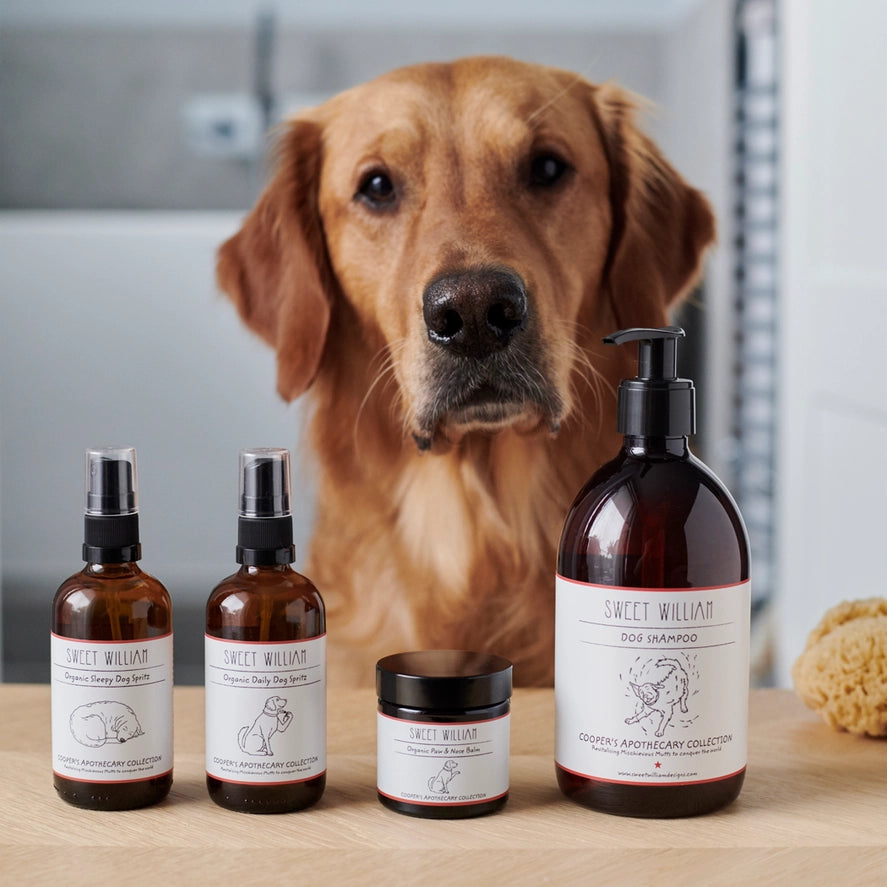 Dog Grooming - Shampoo