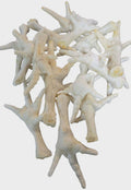 Puffed white chicken feet natural dog treat