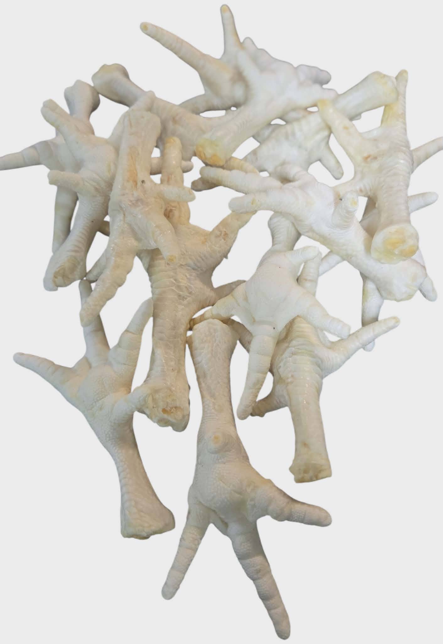 Puffed white chicken feet natural dog treat