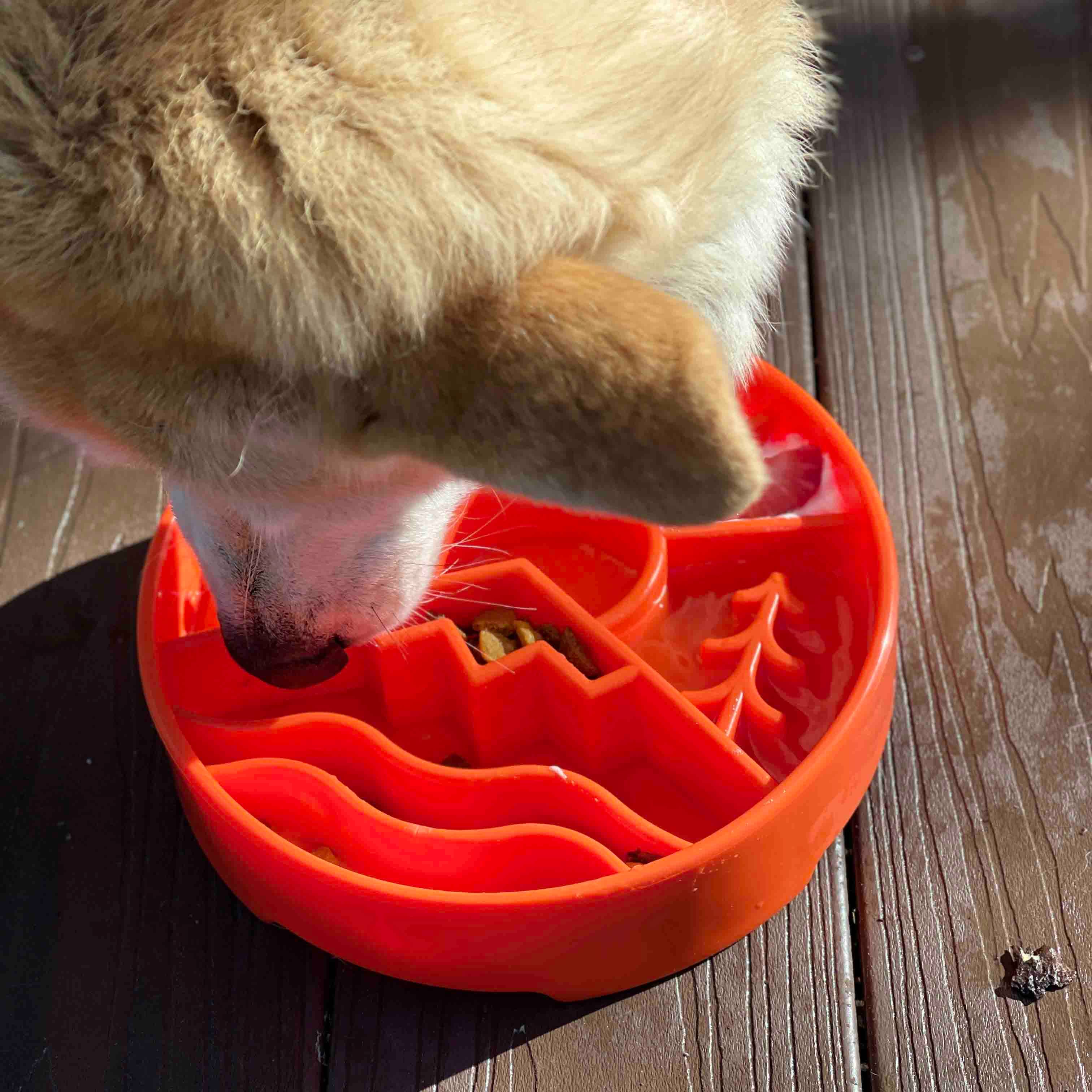 Great Outdoors Design eBowl Enrichment Slow Feeder Bowl for: Orange