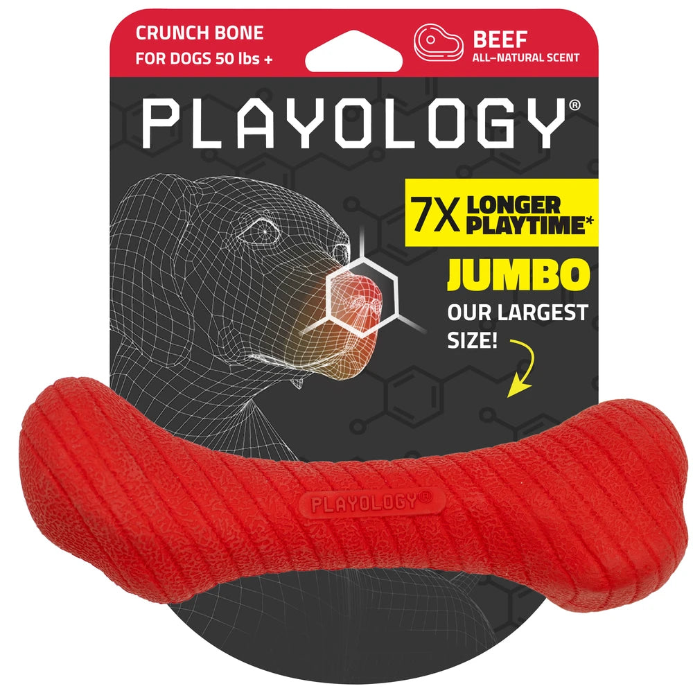 Playology Crunchy femur - beef - large