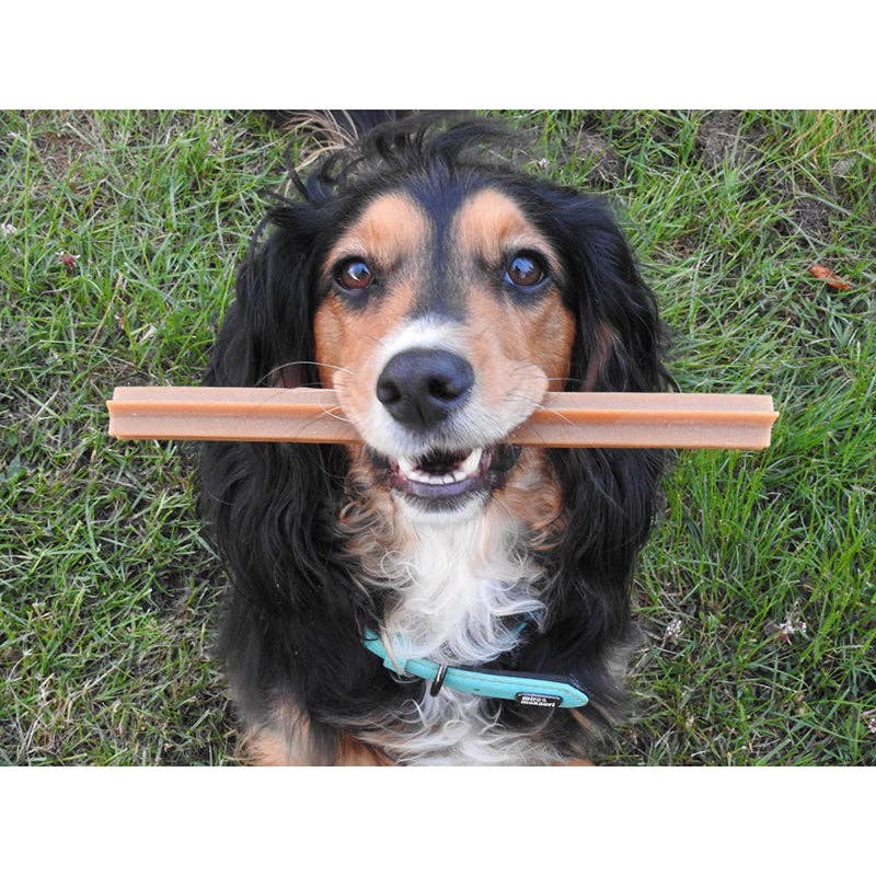 Vegan Dog Treats - Fruit & Veg Star Sticks - added Coconut Oil