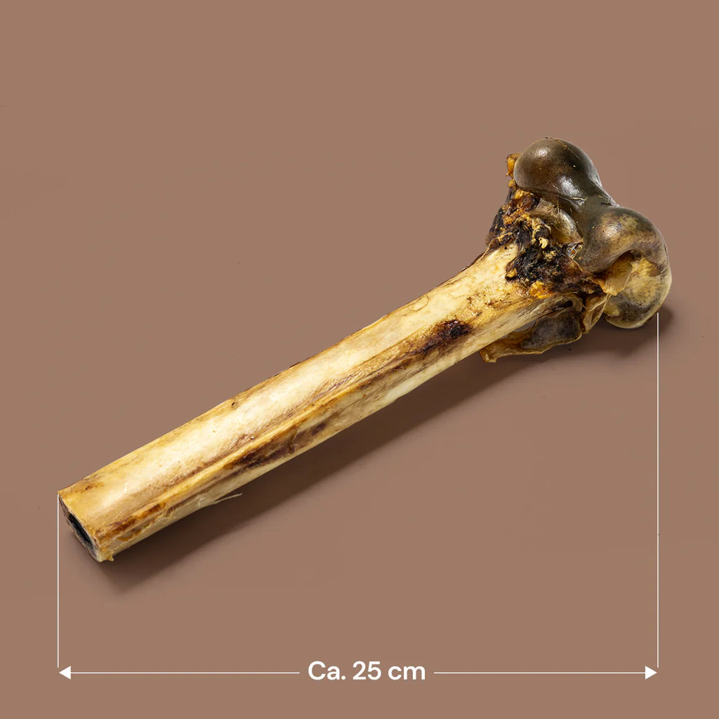 Ostrich Bones 1pc