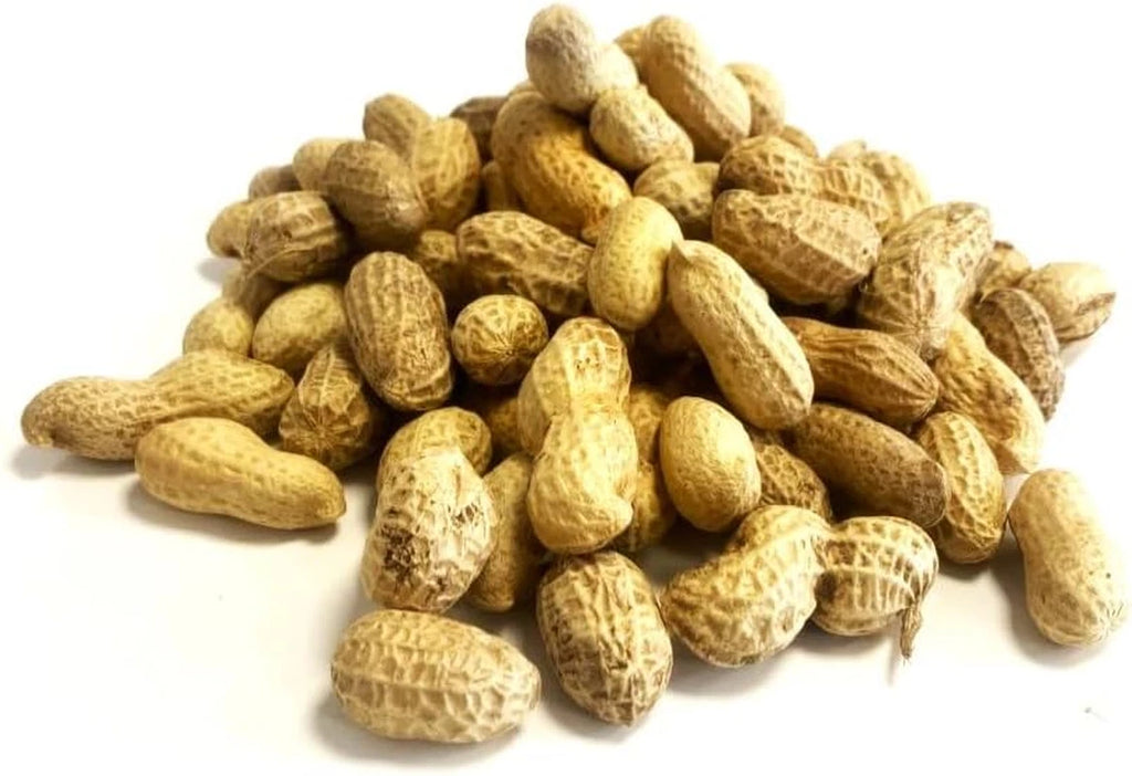 Wild Bird Peanuts in Shells Monkey Nuts 1kg