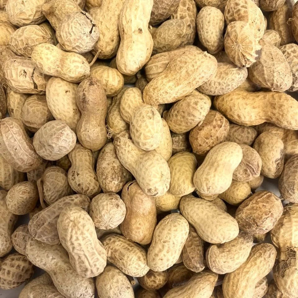Wild Bird Peanuts in Shells Monkey Nuts 1kg